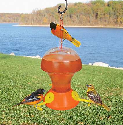 Fliteline 48 ounce Oriole Feeder