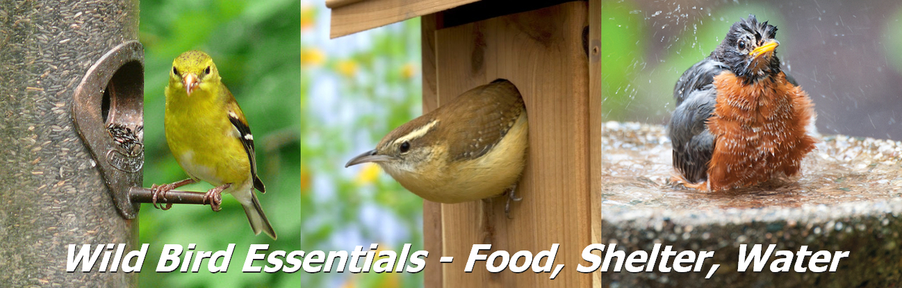 Wild Bird Essentials - Bird Feeders, Bird Houses, Bird Baths