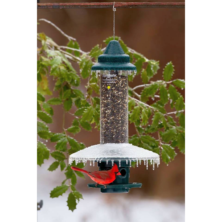 Squirrel Buster Plus Feeder with Weather Guard