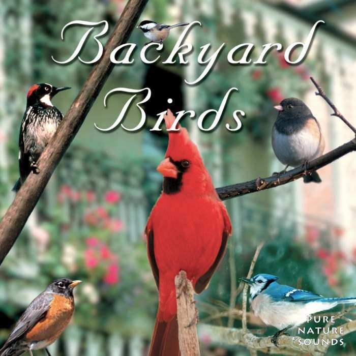 Naturescapes Backyard Birds CD