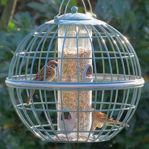 nuttery peanut feeder