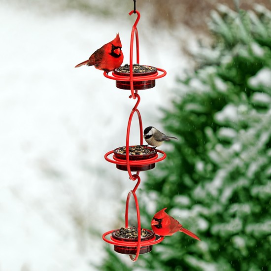 Triple Sphere Hanging Feeder with Perch Red