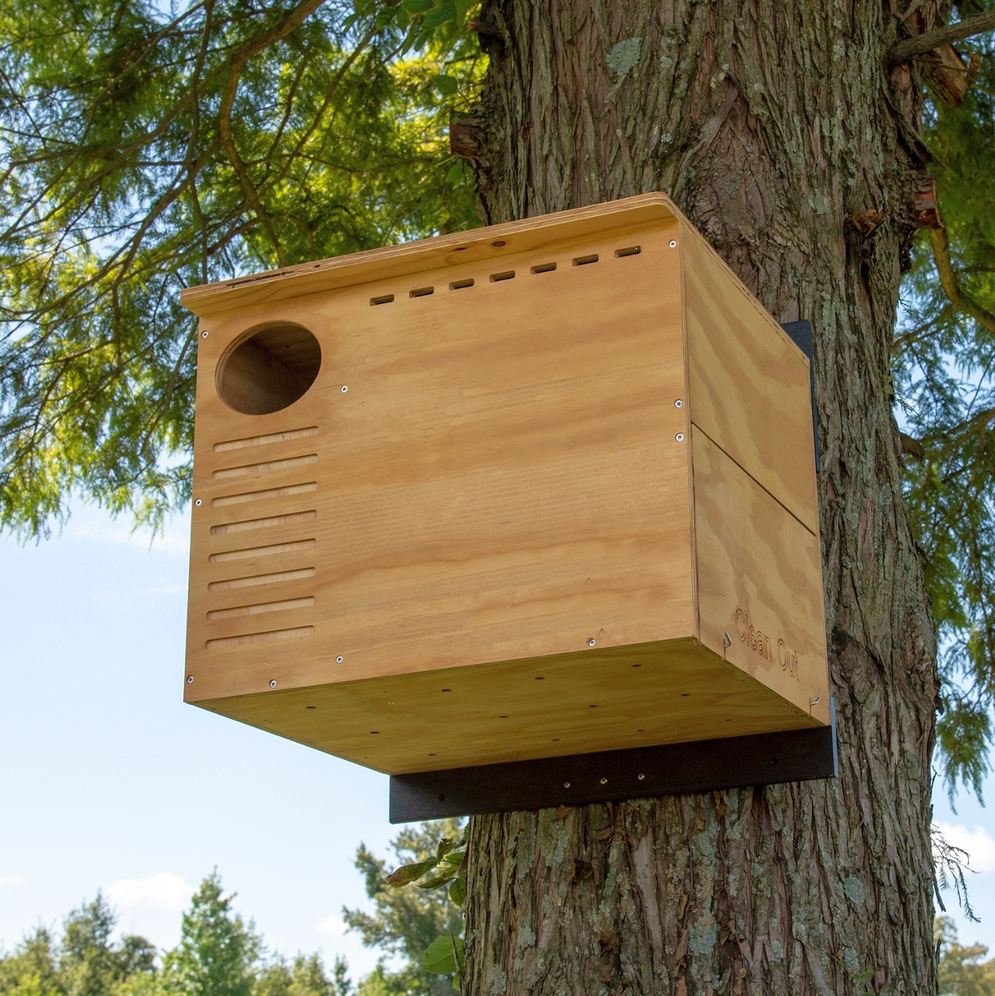 Cedar and Poly Screech Owl Nest Box
