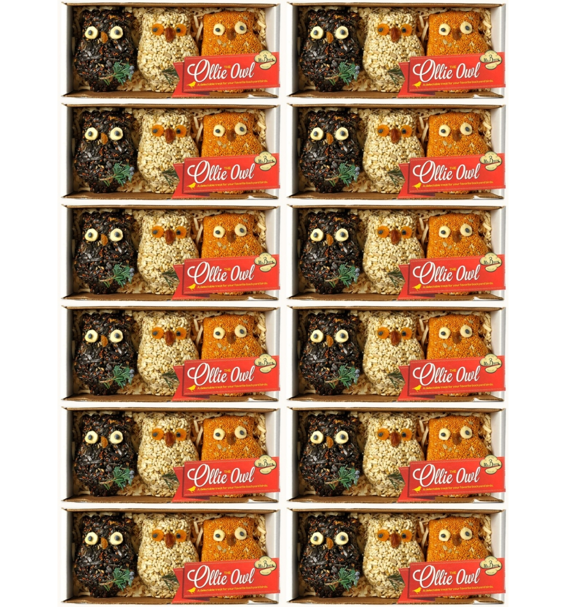 Ollie Owl Birdseed Ornament Gift Box 12/Pack