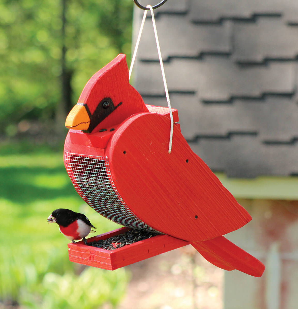 Amish Hand-Made Shaped Bird Feeder Cardinal