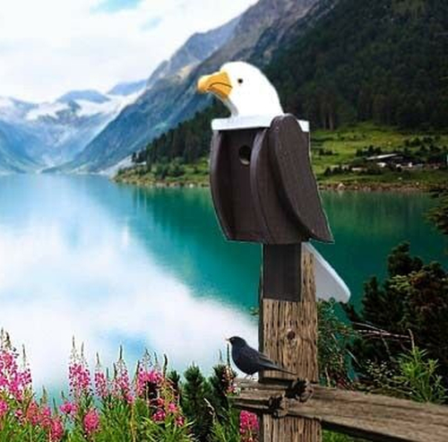 Amish Hand-Made Shaped Birdhouse Bald Eagle