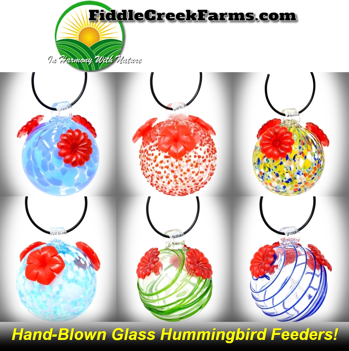 Glass Globe Hummingbird Feeder Assortment Set of 6