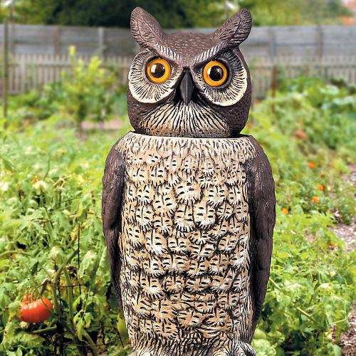 Rotating-Head Great Horned Owl Scarecrow