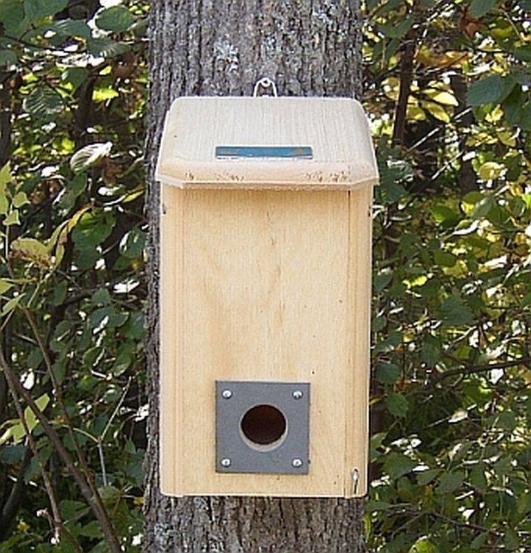 Conservation Small Winter Roost