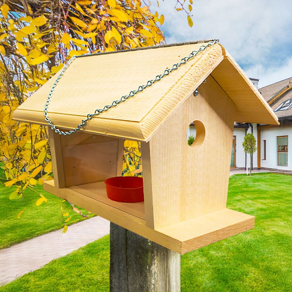 Conservation Deluxe Hanging Bluebird Feeder