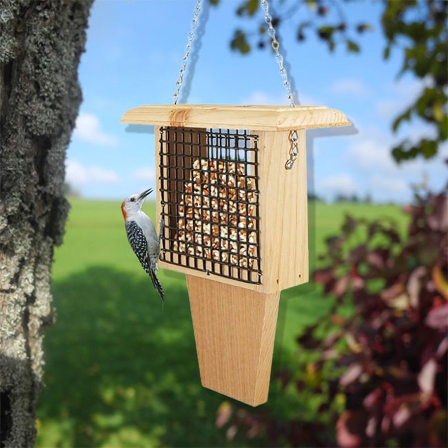 Conservation Tail-Prop Woodpecker Feeder