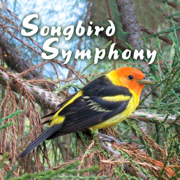 Naturescapes Music Songbird Symphony CD