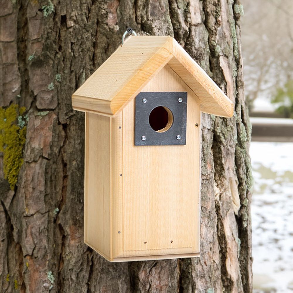 Conservation Backyard Birdhouse