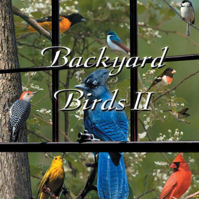 Naturescapes Backyard Birds II CD