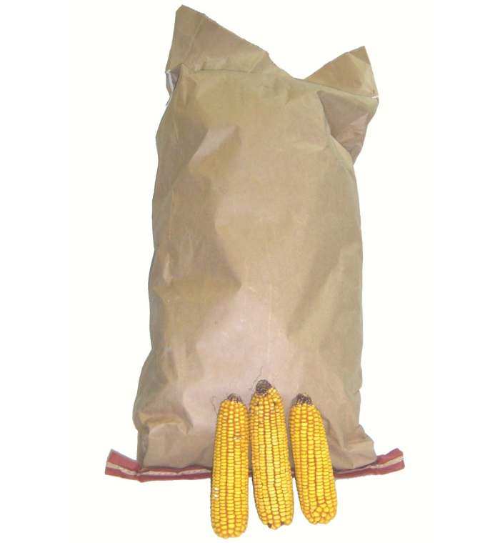 Fiddle Creek Farms Ear Corn 25# Bag Value Pack