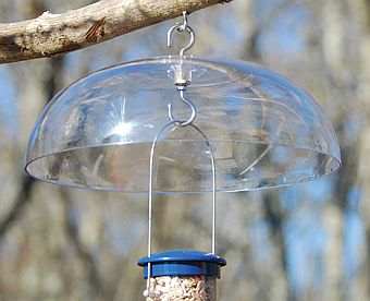 Aspects Bird Feeder Weather Dome
