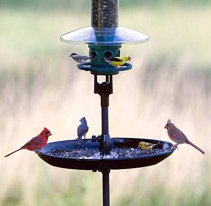 Seed Buster Bird Seed Tray and Catcher