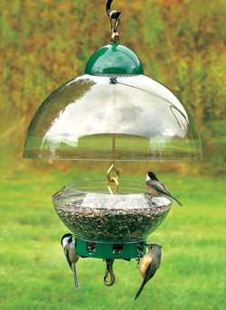 Droll Yankees Big Top Bird Feeder Squirrel Resistant Bird Feeder