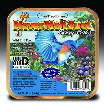 Never Melt Suet Berry Cake 12 Pack