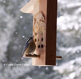 Tree Icing Feeder