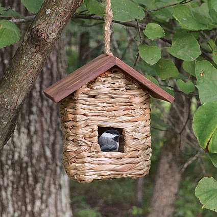 Hanging Grass Roosting Pocket with Roof 6/Pack