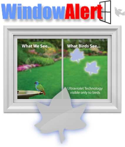 WindowAlert Bird Anti-Collision Decals 32/Pack
