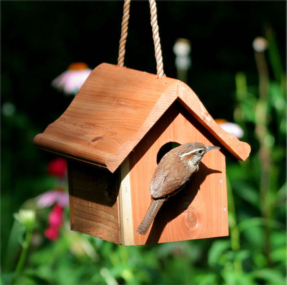 Cedar Wren Home