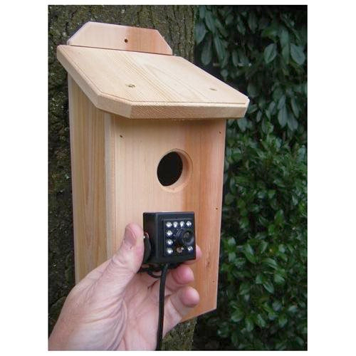 Cedar Birdhouse with HD Hawk Eye Video Camera