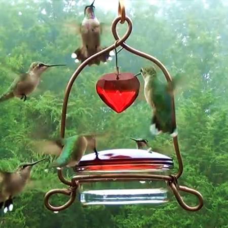 Tweet Heart Lantern Hummingbird Feeder