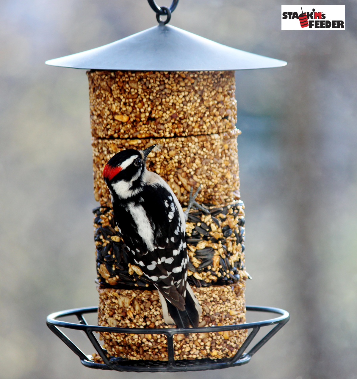 Stack'M Seed Cake Feeder