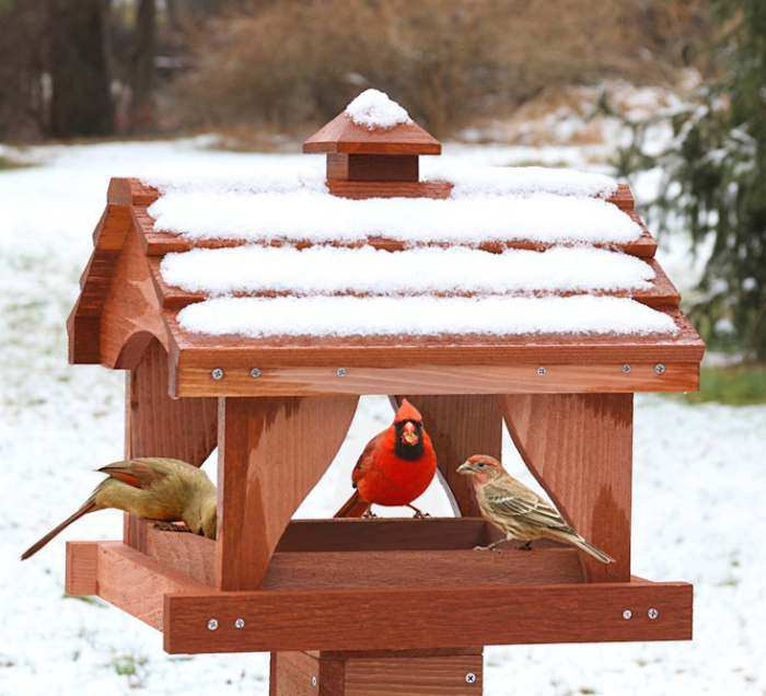 Pavilion Bird Feeder