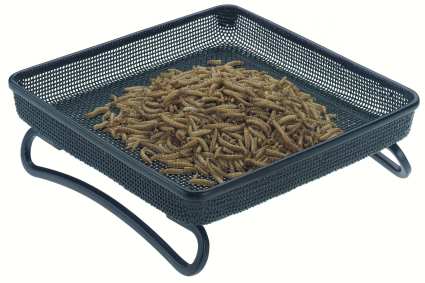 Compact Tray Feeder